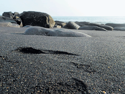 NATURE'SWONDER Tilmati beach near Karwar; black sand seen on the beach. PHOTOS BY PRAMOD HARIKANT