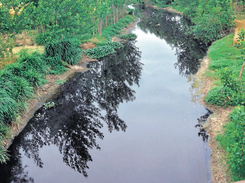 The polluted Krishna river in Gangnauli village in Bhagpat district in Uttar Pradesh.