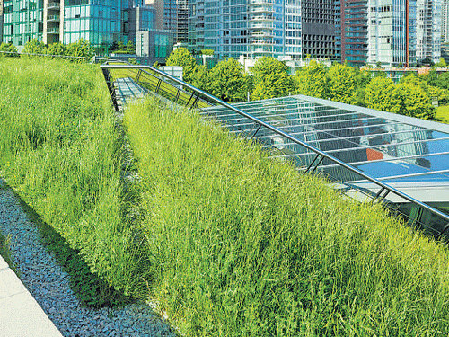 New law requires green rooftops in France