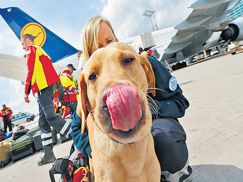 Sniffer dog 'Cooper', along with 7 rescue dogs and 51 doctors, medics and logistical experts, flew to Nepal from Germany on Sunday.  Reuters