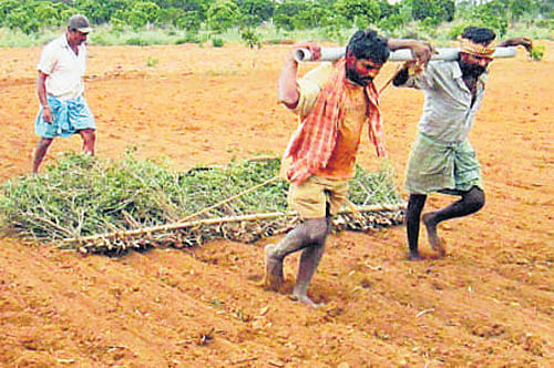 Indian Farmers Face Harder Life Ahead: Studies