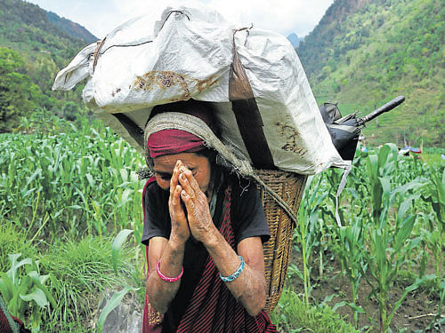 An elderly villager carries relief material near the epicentre of the earthquake, in Gorkha district. AP