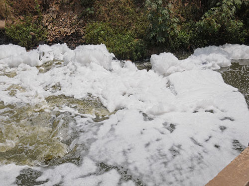 A four-member team of officials from the Central Pollution Control Board (CPCB)&#8200;inspected Varthur lake on Saturday to check the quality of water. Toxic foam from this water body has been spilling over to a nearby road for the past five days. File Photo