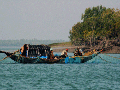 Sunderbans, the world's largest mangrove delta is facing a grave threat. Huge environmental damage caused by global warming is taking its toll on the region and posing a double threat to local residents. File PTI image
