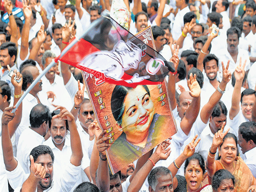 AIADMK supporters celebrate after party chief J Jayalalitha was cleared of corruption charges by the Karnataka High Court in disproportionate assets case, at her residence in Chennai on Monday. PTI