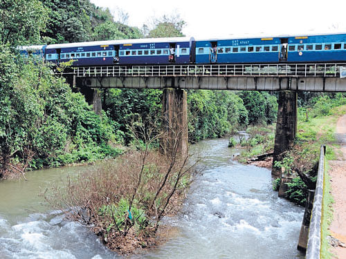 green zone: The Yettinahole stream and the immediate catchment area fall under the Ecologically Sensitive Zone-1, which are strictly no-development zones. DH&#8200;FILE&#8200;PHOTO