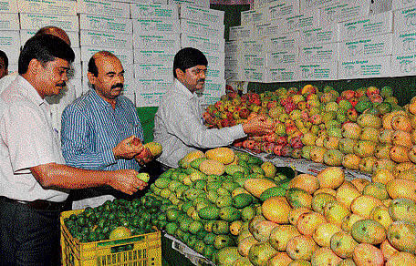 Hopcoms General Manager S H Keshav, Administrative Officer P R Palangappa and Managing Director Kadiregowda at the Mango and Jackfruit mela in Bengaluru on Friday.  DH Photo