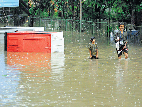 Heavy rainfall that lashed the City on Saturday left the Kanteerava Stadium inundated. DH PHOTO