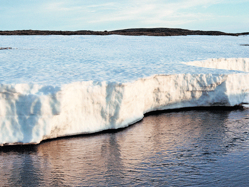 melting ecosystem Research shows that the ice drift is faster now than it was 100 years ago.