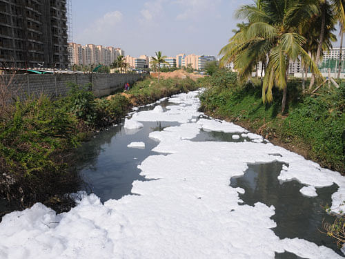 Bellandur lake. Dh file photo