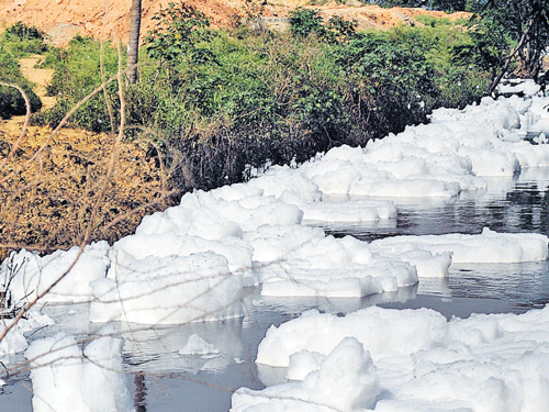 Athick cover of foamgreeted the House panel on Lake Encroachment that visited Bellandur lake onWednesday. DH PHOTO