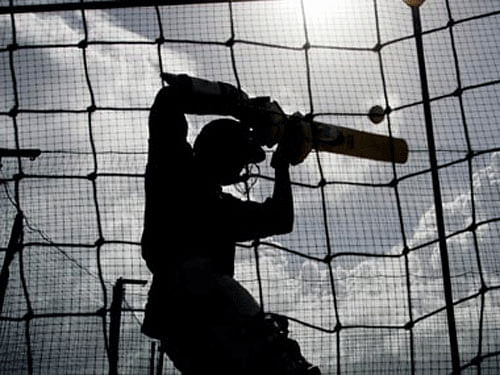 Cricket. Reuters File photo.