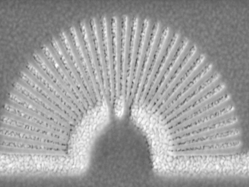 Metamaterial hyperlens. Courtesy: Official UB news and information for the media