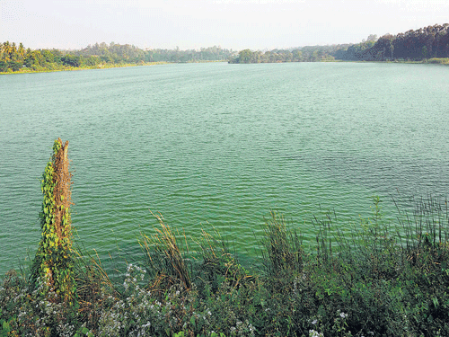 A criminal case has been filed under Section 44 of the Water (Prevention and Control of Pollution) Act, 1974, which provides for imprisonment for a term not less than one year and six months and extends to six years with a fine. DH file photo