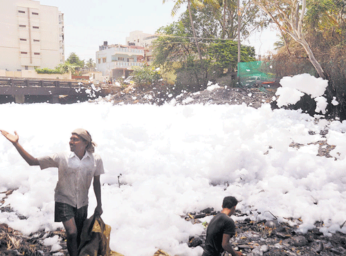 MANMADE: The 40-foot deep Bellandur lake has silt deposit up to 35 feet, according to local residents. DH PHOTO/KISHOR KUMAR BOLAR