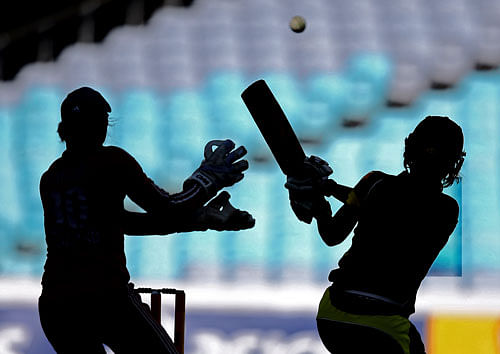 Cricket. AP File Photo.