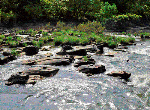 River. DH File Photo.