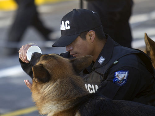 Police Dog. Reuters File Photo for representation.