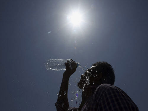 The toll in Andhra Pradesh (AP) stood at 1,020, while it was 440 in Telangana. The Met department warned of continuance of the heatwave condition for the next two days. AP file photo