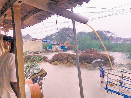 Yerebudihal in Dharwad district was marooned due to heavy rains on Tuesday.