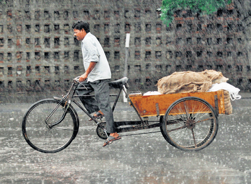 A vendor transports vegetables on a cycle rickshaw during light rain in Chandigarh on Tuesday. REUTERS