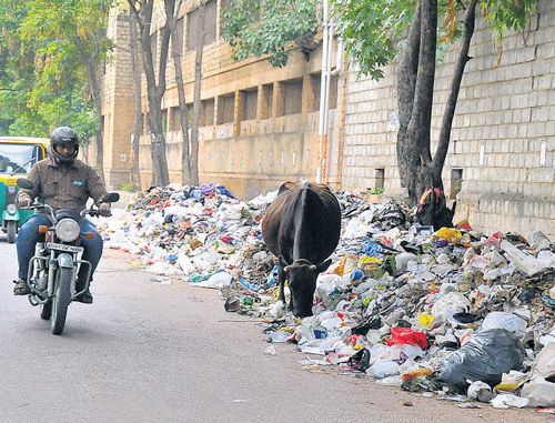 Eyesore: A heap of garbage lies uncleared at M S Ramaiah Nagar. DH Photo