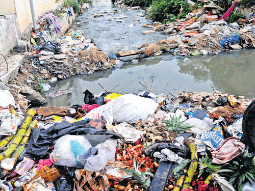 unbearable stench The stormwater drain in Shivajinagar. DH photo by BH Shivakumar