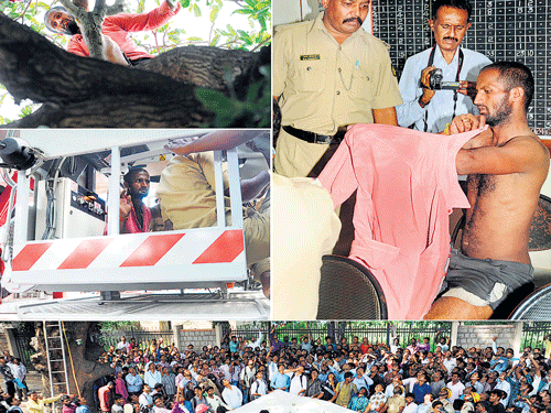 HIGHDRAMA: (Anticlockwise fromtop left)Mahesh, amentally ill man, atop amango tree on JC Road threatens to commit suicide by jumping down. He is taken in a vehicle of the Fire department after being brought down.Alarge number of people gathered towatch efforts to cajoleMahesh. He is seen at the police station. DH PHOTOS