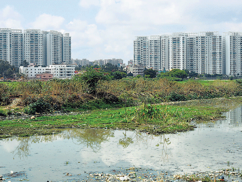CONCRETE JUNGLE: Asmany as 206 lakes in the City have been encroached upon to different extents for someor the other purpose, according to an expert. DH FILE PHOTO