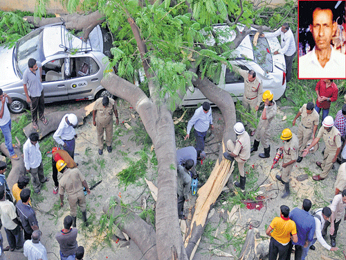 TRAGICEND: Fire fighters remove the branches of a huge treewhich fell on road, killing an elderlyman,damaging two four wheelers and onemotorbike inCARPolice quarters, Adugodi, in Bengaluru onWednesday. (Inset) PuttagangappaMN(76) father of Intelligence Police Inspector S P Dharanish,who died in the accident. DH PHOTO/S K DINESH