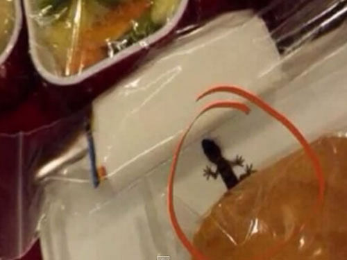 Lizard found in Air India meal, screen grab