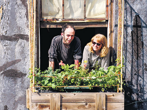 Green Space Matt Rosenberg and  Kerry Trueman by their window garden.