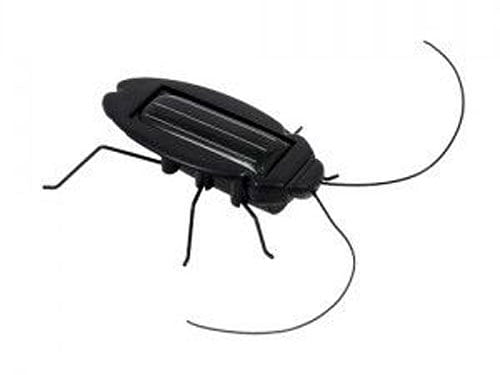 Cockroach-inspired robot. DH File Photo.