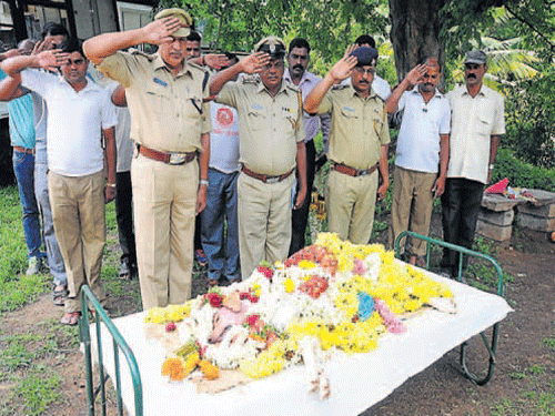 City Armed Reserve police officials, along with handlers, pay last respects to Shyam, a sniffer dog, which passed away in Mysuru, on Wednesday. DH photo