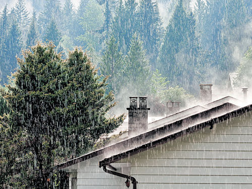 KEEP&#8200;IT&#8200;DRY A thick coating of silicon for the terrace and exterior walls is an effective waterproofing method.