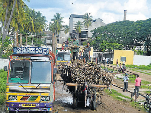 In Mandya district, five sugar factories have to pay a total of Rs 106 crore to farmers. Besides, the factories have to pay Rs 20 crore, after an additional incentive of Rs 100 was announced for farmers in 2013-14. DH file photo