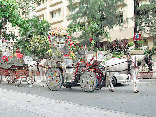 Horse-drawn Victoria carriages in Mumbai. (Below) Victoria carriages some decades ago.