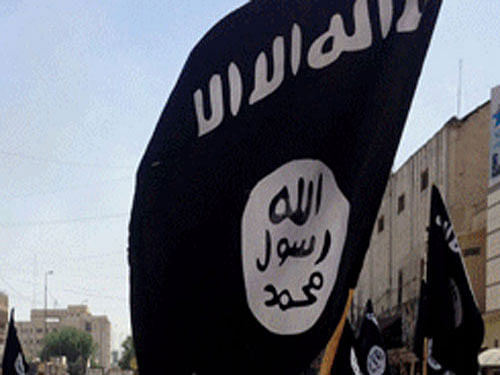 Terror outfit Islamic State. AP File Photo.