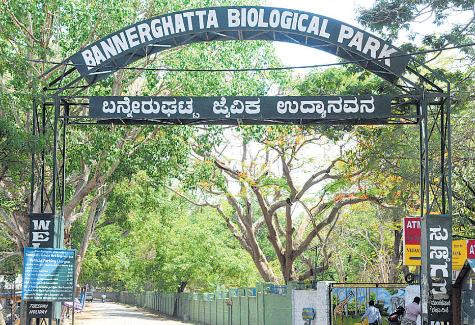 Bannerghatta National Park (BNP). DH File Photo.