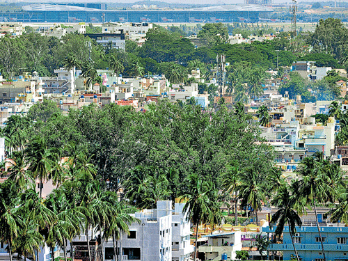 growth Property rates in Devanahalli have  escalated to 80 per cent in the last two years. DH photos by Srikanta Sharma R