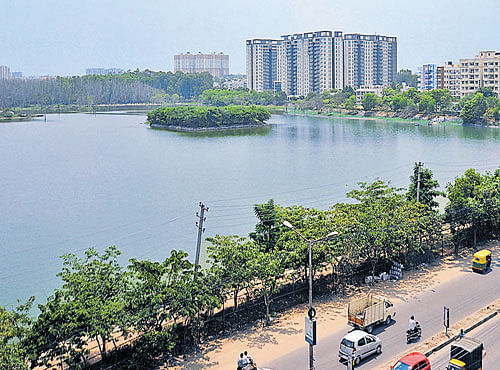 Kaikondrahalli Lake, one of the few developed waterbodies in the City. DH PHOTO