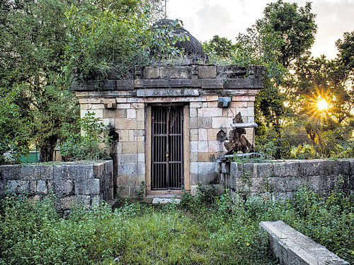 in abandoned state: The Varadharaja Perumal temple, over 20 idols dating to the 11th century were stolen from here between 1984 and 2008 in Suthamalli. nyt