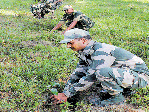 Green trend: Border Security Force personnel during  a tree plantation programme near Balurghat in South Dinajpur district of West Bengal on Wednesday. PTI