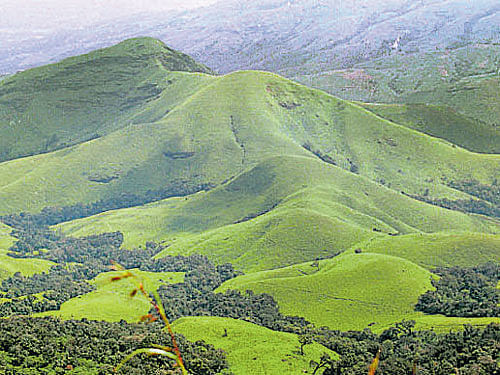 The Centre will finalise the report on Western Ghats by September 9, 2015. DH Photo