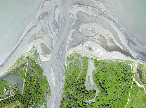 GOOD SIGNS The mouth of the Elwha river, showing growth of the river bars during sediment releases some time after a dam was removed.