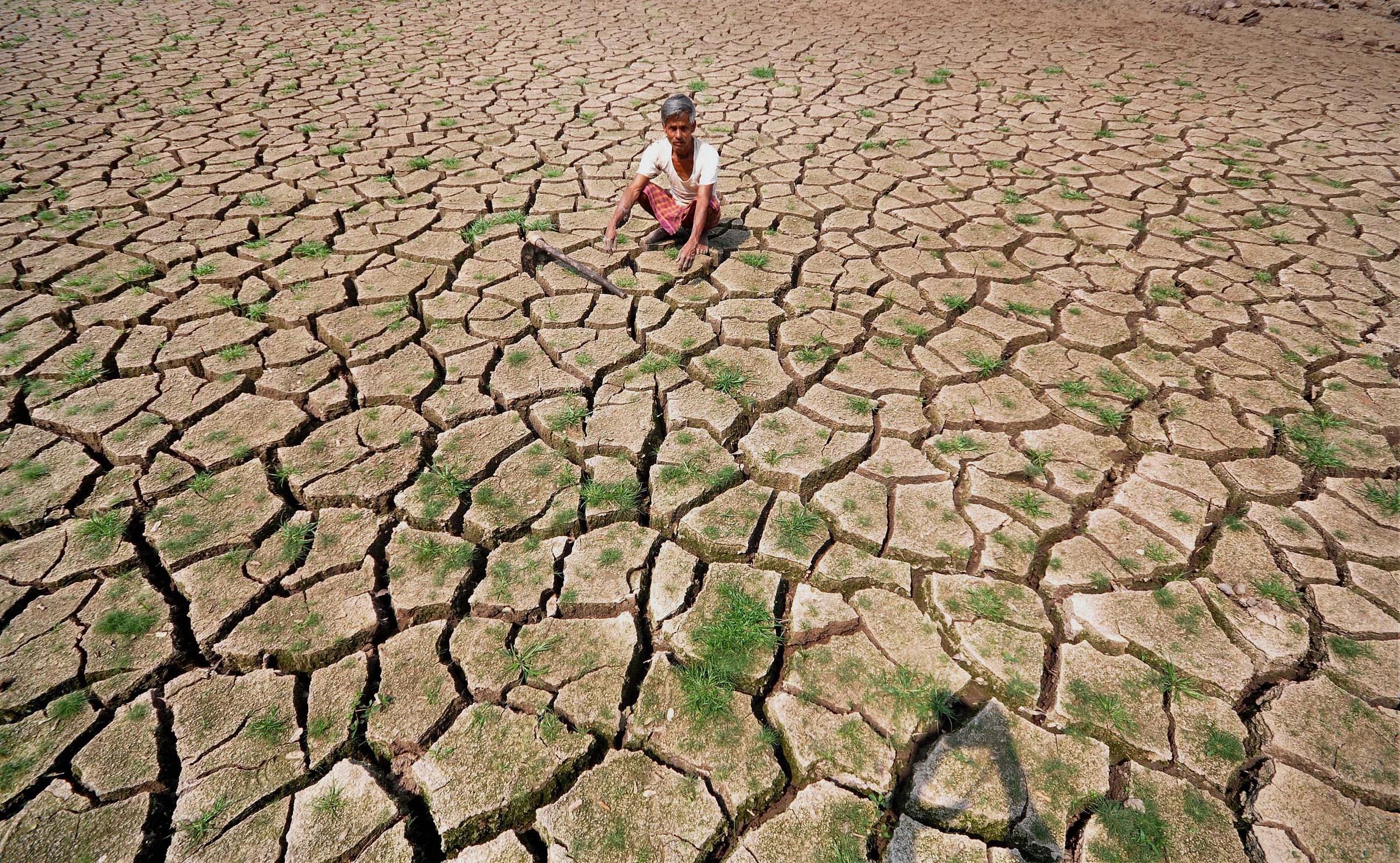 Drought. PTI file photo