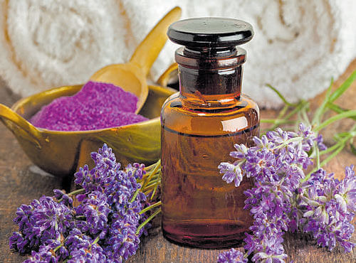 Lavender essential oil induces sleep and can be used as an alternative treatment for insomnia.