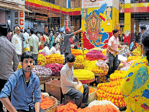 With festivals round the corner, the prices of the already  expensive flowers are expected to double in a day or two.