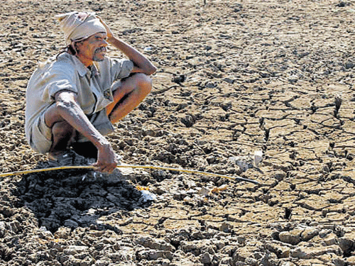 Central team to assess drought scenario in State