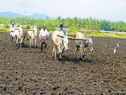 The proposed order will extend benefits of the Right to Fair Compensation and Transparency in Land Acquisition Rehabilitation and Resettlement Act 2013 with regard to compensation, rehabilitation and resettlement to land owners whose lands are acquired under 13 laws. DH file photo